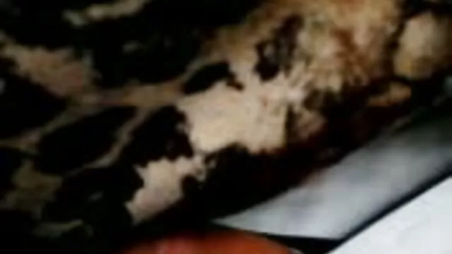 Pacar download bokep jepang teacher duduk di